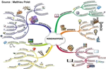internet-cartementale.webp